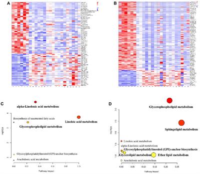 Anti-platelet aggregation activities of different grades of Angelica sinensis and their therapeutic mechanisms in rats with blood deficiency: insights from metabolomics and lipidomics analyses